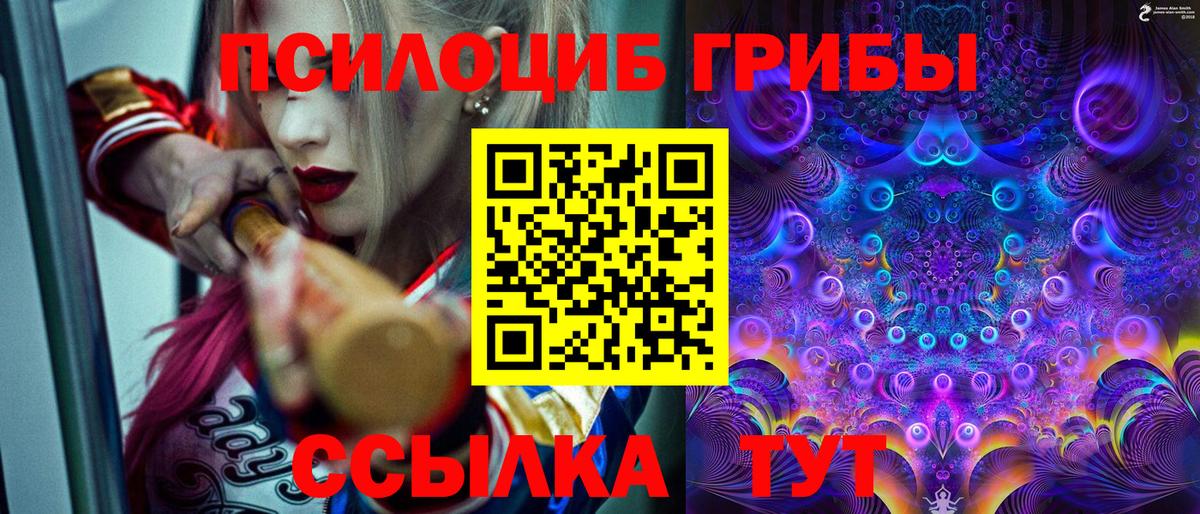 Новочеркасск  как найти закладки  Вход с VPN  Псилоцибиновые грибы Cubensis 